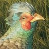 Big Yosher profil fotoğrafı