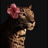 Profilbild von أَلف🐆-٩١١-