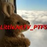 Profilbild von LittleJetTV_PTFS