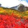 Фото профиля そらとひかり