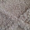 LoveMyPup profil fotoğrafı