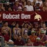 Bobcat Den ็ๅคดๅ