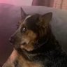 Фото профиля Tito