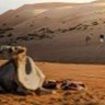 متصفح قوقل 的头像