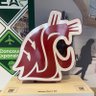 Coug62's profile picture