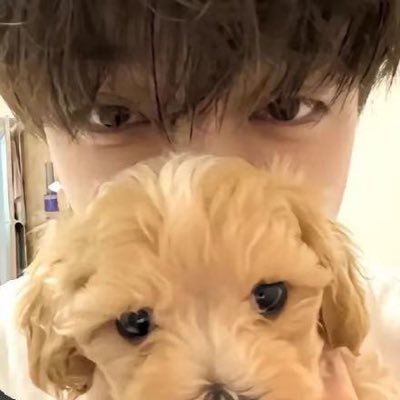 菠萝吹雪's profile picture