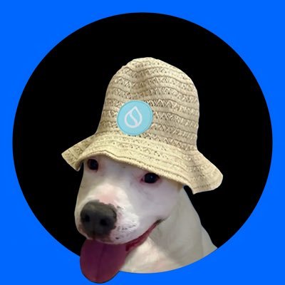 RondaOnSui's profile picture