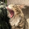DrT profil fotoğrafı