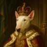 Фото профиля The Dog