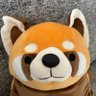レッサさんぽ。 profil fotoğrafı