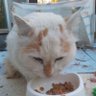 Profilbild von hatu0806