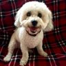 Mikay's profile picture