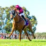 🐎🇦🇺🇭🇰 profil fotoğrafı