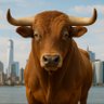 Riverford Bulls profil fotoğrafı