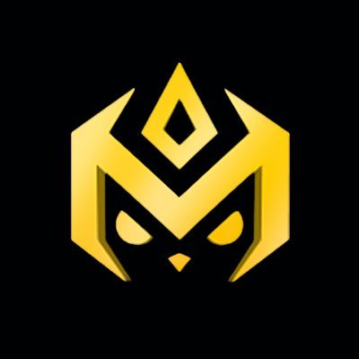 TFT_Academy's profile picture