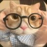 唠叨薯条's profile picture