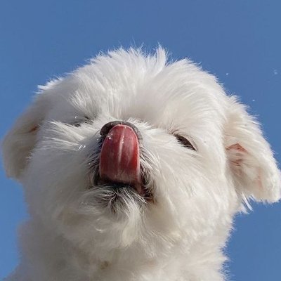 BestAcctHeal's profile picture