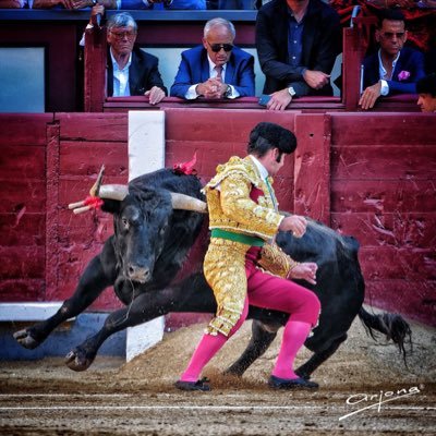 Borja's profile picture