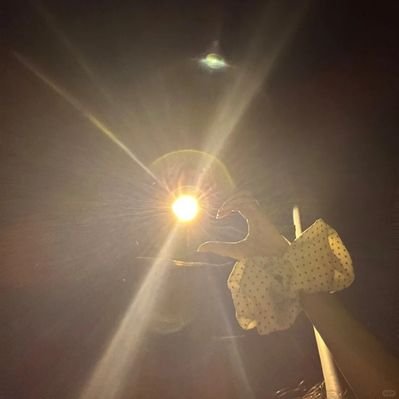 lingering fear's profile picture