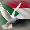 Abdelaziz Mega's profile picture