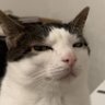 SlowlifeSnail's profile picture