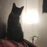 Profilbild von guapito de nuca