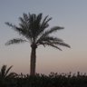 Profilbild von كينان الشرق
