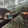 W I D J A Y A profil fotoğrafı
