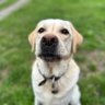 Fritte's profile picture
