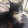 Sully's profile picture