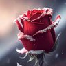 Md Abdul Aziz Khan 的头像