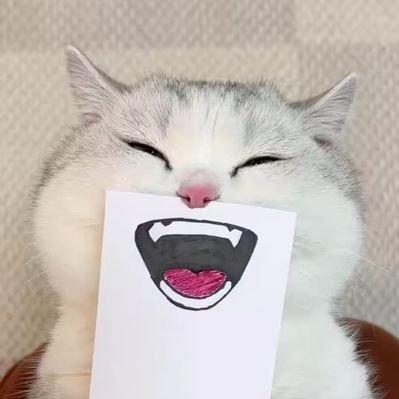 Handout's profile picture