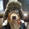JRAv8tor's profile picture