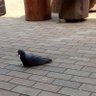a profil fotoğrafı
