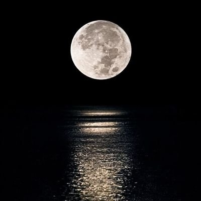 Alex_963__'s profile picture