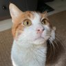 Kiki's profile picture