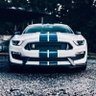Mustang profil fotoğrafı