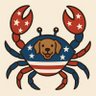 AmericraB profil fotoğrafı