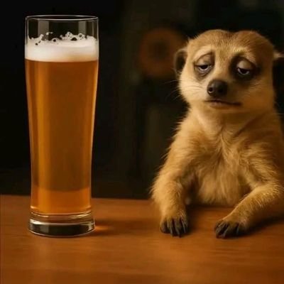 WeGweru's profile picture