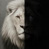 Salihu Ahmad's profile picture
