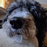 Profilbild von John Bob