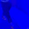 Profilbild von FlightDream