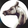 من الاخر . 🔥🎼. profil fotoğrafı
