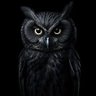 Profilbild von Adio Abass