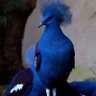 Abdulrahaman's profile picture