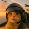Profilbild von Catrocity