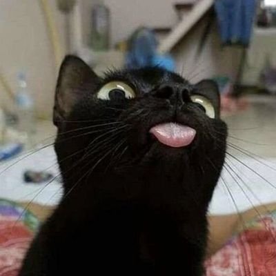 H o m e m a d e's profile picture