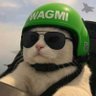 bryn's profile picture