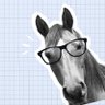 OpenEd's profile picture