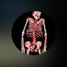 Foshadordeabuelas's profile picture